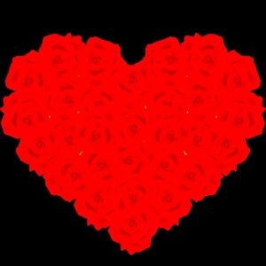 20 SHIPPING BOXES AND ENVELOPES